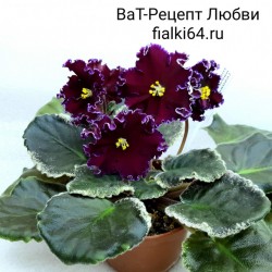 ВаТ-Рецепт Любви (Валькова)
